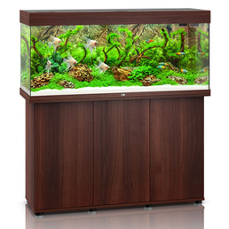 Juwel Rio 240 LED Komplett Aquarium mit Unterschrank SBX