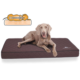 Knuffelwuff orthopädische Hundematte Juna braun