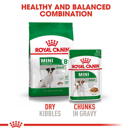 ROYAL CANIN MINI Adult 8+ 2kg + Mini Adult in Soße 12x85g