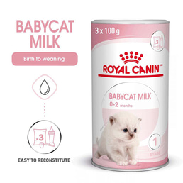 ROYAL CANIN BABYCAT MILK Aufzuchtmilch für Kitten 300g