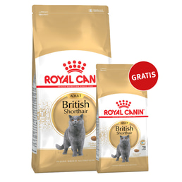Royal Canin Katzenfutter British Shorthair 10kg+2kg gratis