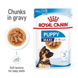 ROYAL CANIN MAXI PUPPY Welpenfutter nass für große Hunde