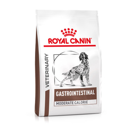ROYAL CANIN® Veterinary GASTROINTESTINAL MODERATE CALORIE Trockenfutter für Hunde