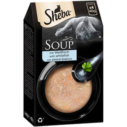 SHEBA Soup mit Weißfisch