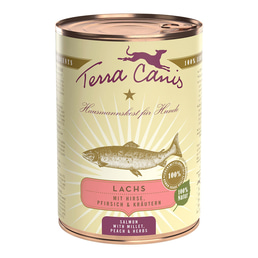 Terra Canis CLASSIC Lachs mit Hirse, Pfirsich und Kräutern