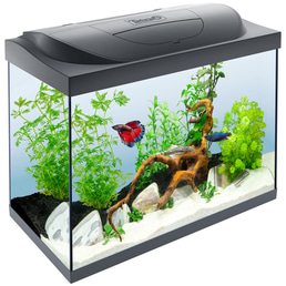 Eine Zusammenfassung unserer Top Nano aquarium led beleuchtung
