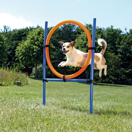 Trixie Dog Activity Agility Ring