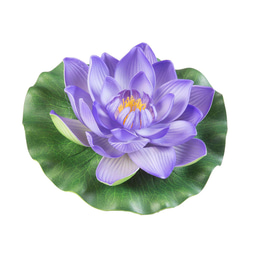 Velda Lotus Foam Purple