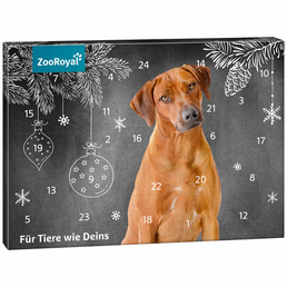 ZooRoyal Adventskalender 2023 Hund 242g