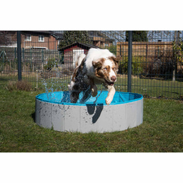 ZooRoyal Hundepool