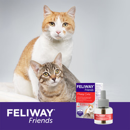 feliway friends nachf�llflakon preisvergleich