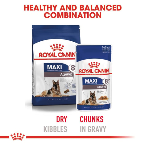 ROYAL CANIN MAXI Ageing 8+ Trockenfutter für ältere große Hunde