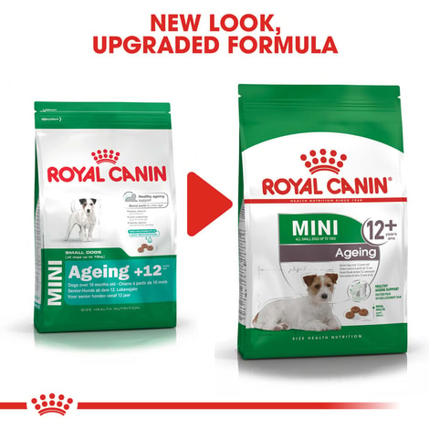 ROYAL CANIN MINI Ageing 12+ Trockenfutter für ältere kleine Hunde