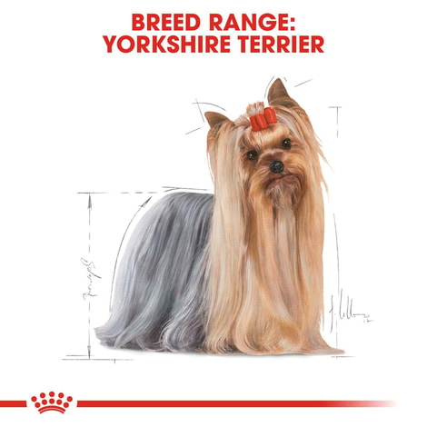 Royal Canin Breed Health Nutrition Yorkshire Terrier 12x85g