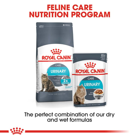 ROYAL CANIN Urinary Care Katzenfutter nass für gesunde Harnwege