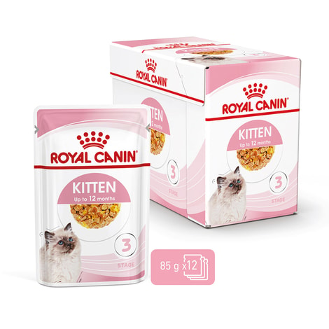 ROYAL CANIN KITTEN Nassfutter in Gelee für Kätzchen