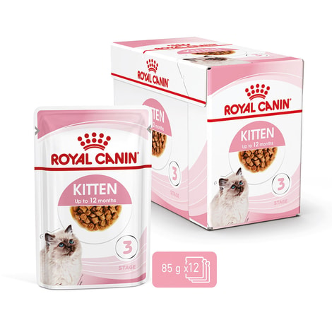 ROYAL CANIN KITTEN Nassfutter in Soße für Kätzchen