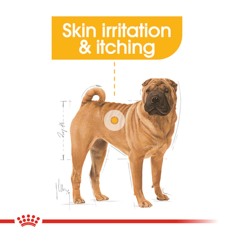 ROYAL CANIN DERMACOMFORT MEDIUM Trockenfutter für mittelgroße Hunde mit empfindlicher Haut