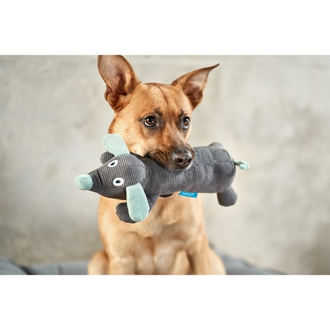 ZooRoyal Hundespielzeug Hund liegend Anthrazit