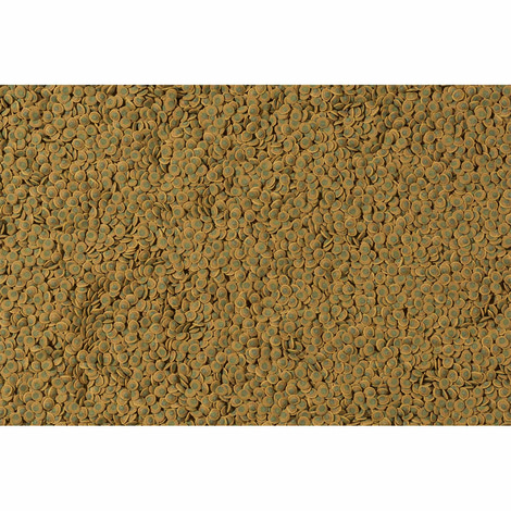 Tetra Pleco Veggie Wafers