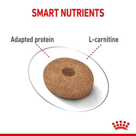 ROYAL CANIN LIGHT WEIGHT CARE MINI Trockenfutter für zu Übergewicht neigenden Hunden