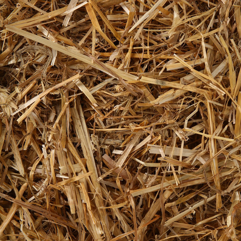Chipsi Kleintiereinstreu Farmland Naturstroh