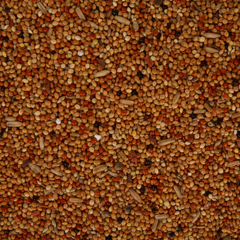 Vitakraft Sittich-Perle mit Vita Herbs
