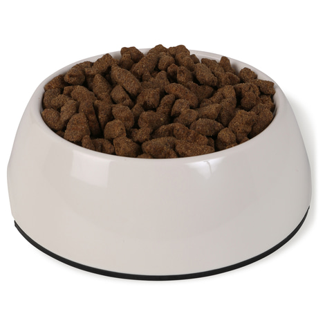 Bosch Hundefutter Maxi Junior