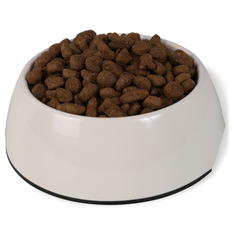 Bosch Hundefutter Adult Fisch & Kartoffel