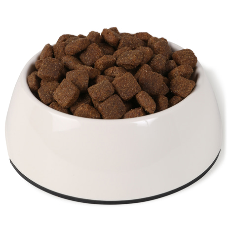 Bosch Hundefutter Maxi Adult