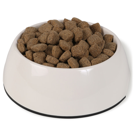 Bosch Hundefutter Maxi Senior Geflügel & Reis