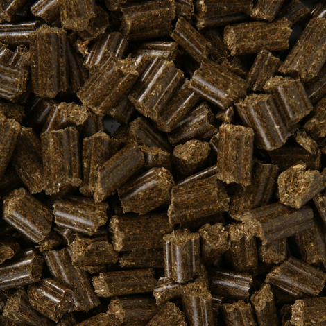 Bunny KaninchenTraum Herbs