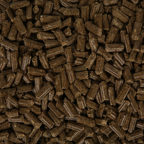 Bunny KaninchenTraum oral