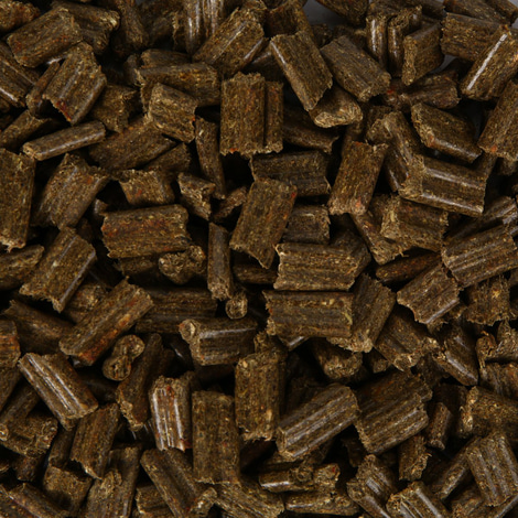 Bunny MeerschweinchenTraum basic 750g