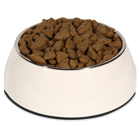 Bosch Hundefutter Adult Lachs & Kartoffel