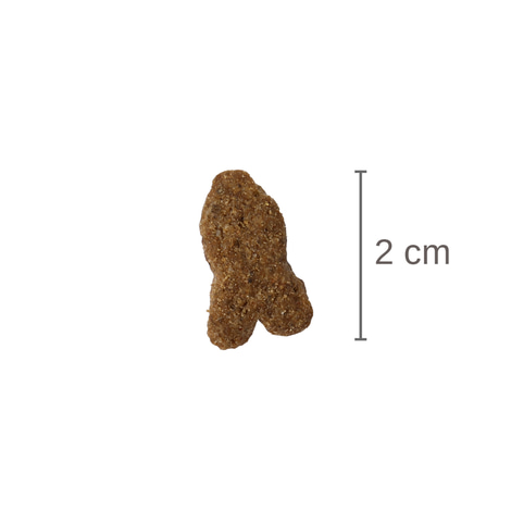 Bosch Hundefutter Adult Lachs & Kartoffel