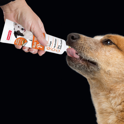 beaphar Multi-Vitamin-Paste für Hunde 250g