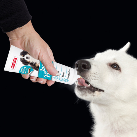 beaphar Junior-Paste für Hunde 100g