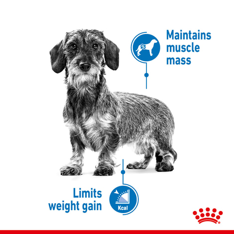 ROYAL CANIN LIGHT WEIGHT CARE Nassfutter für Hunde mit Neigung zu Übergewicht12x85g