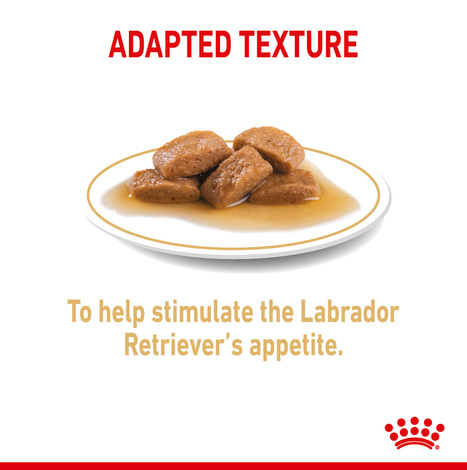 ROYAL CANIN Labrador Retriever Adult Stückchen in Soße Nassfutter für Hunde