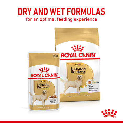 ROYAL CANIN Labrador Retriever Adult Stückchen in Soße Nassfutter für Hunde