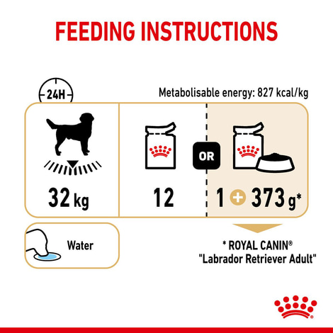 ROYAL CANIN Labrador Retriever Adult Stückchen in Soße Nassfutter für Hunde