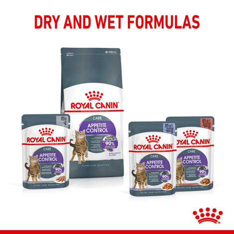 ROYAL CANIN APPETITE CONTROL CARE Nassfutter in Gelee für erwachsene Katzen