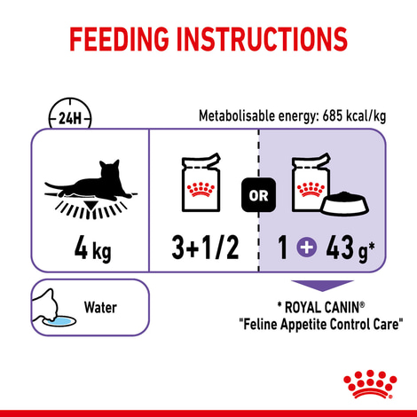 ROYAL CANIN APPETITE CONTROL CARE Nassfutter in Gelee für erwachsene Katzen