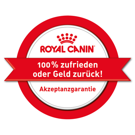 ROYAL CANIN® Veterinary RENAL Mousse Nassfutter für Hunde