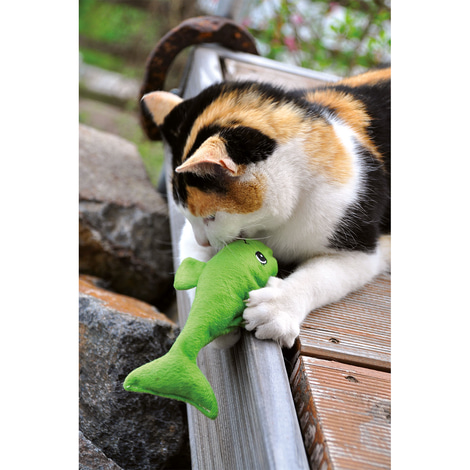 Aumüller Katzenspielkissen mit Lavendel 3er Set - Welli-Fisch