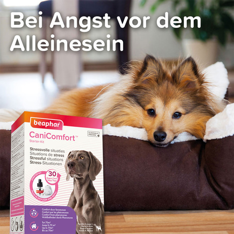 beaphar CaniComfort® Wohlfühl-Spray 60ml