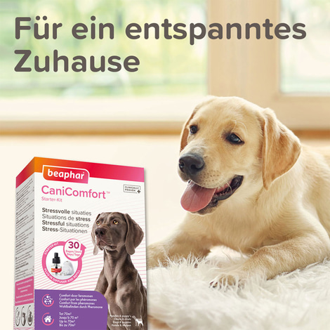 beaphar CaniComfort® Wohlfühl-Spray 60ml