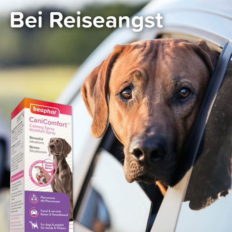 beaphar CaniComfort® Wohlfühl-Spray für Hunde 30ml