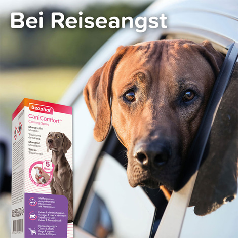 beaphar CaniComfort® Wohlfühl-Spray 60ml